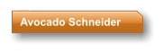 Avocado Schneider