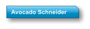 Avocado Schneider